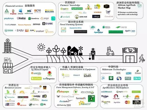 非洲農業科技新浪潮 聚焦種植決策、供應鏈與金融服務的數字化轉型